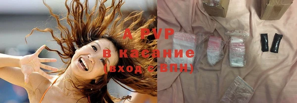 крисы Белокуриха