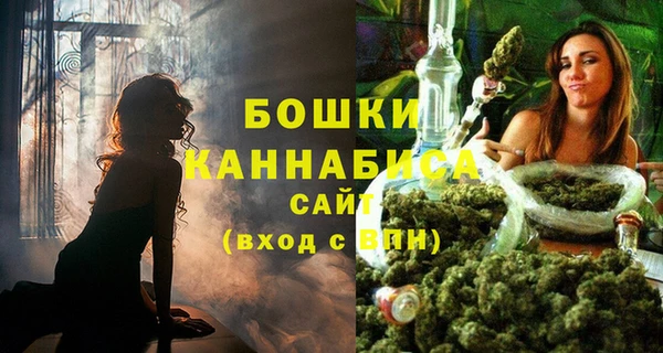 крисы Белокуриха