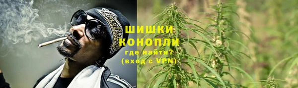 крисы Белокуриха