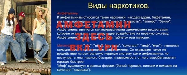 крисы Белокуриха