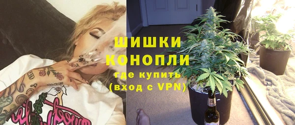 крисы Белокуриха
