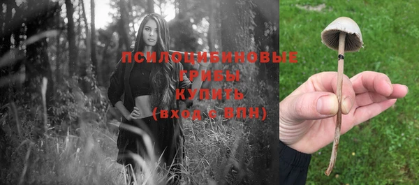 марки nbome Беломорск